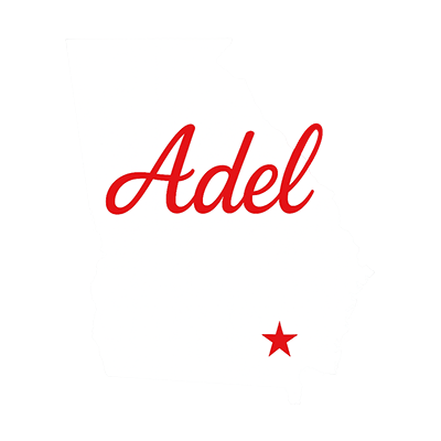 Adel Georgia Accident Attorney Battle Law Could Save You Thousands
