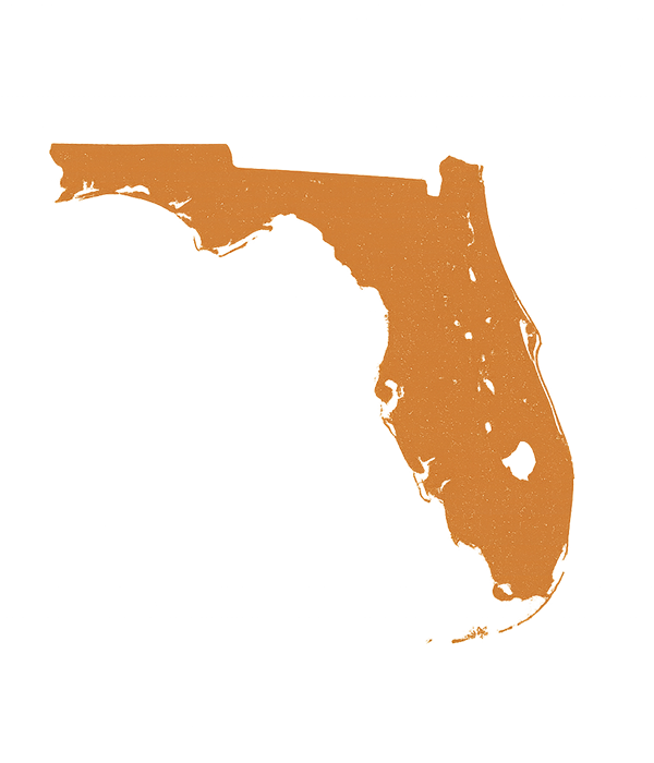 Best Trust Administration Lawyer Brandon Robinson brings years of experience to help client administer trusts in Tampa Clearwater Pinellas Manatee Brandenton Pasco New Port Richey St Pete and all of Florida